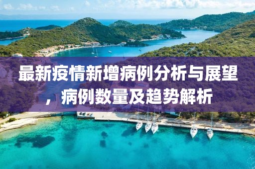 最新疫情新增病例分析与展望，病例数量及趋势解析