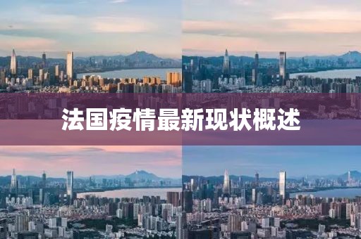 法国疫情最新现状概述