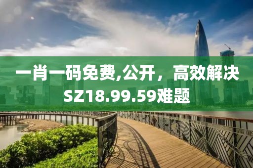 一肖一码免费,公开，高效解决SZ18.99.59难题
