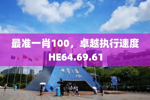 最准一肖100，卓越执行速度HE64.69.61