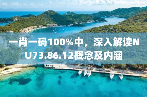 一肖一码100%中，深入解读NU73.86.12概念及内涵