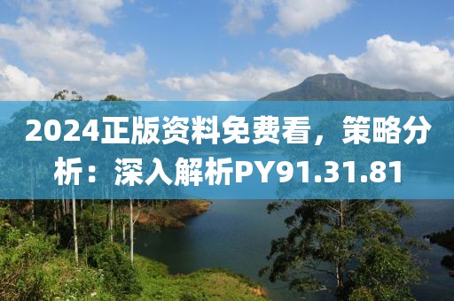 2024正版资料免费看，策略分析：深入解析PY91.31.81
