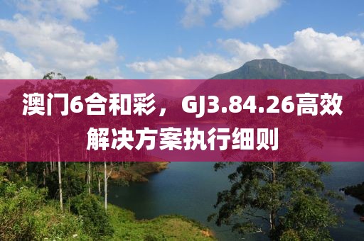 澳门6合和彩，GJ3.84.26高效解决方案执行细则