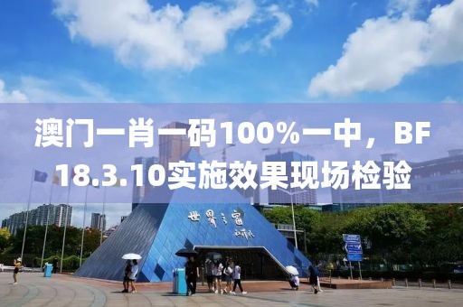 澳门一肖一码100%一中，BF18.3.10实施效果现场检验