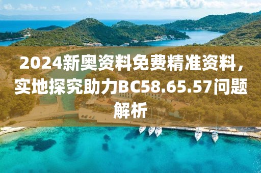 2024新奥资料免费精准资料，实地探究助力BC58.65.57问题解析