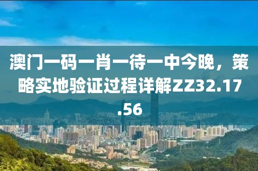 澳门一码一肖一待一中今晚，策略实地验证过程详解ZZ32.17.56