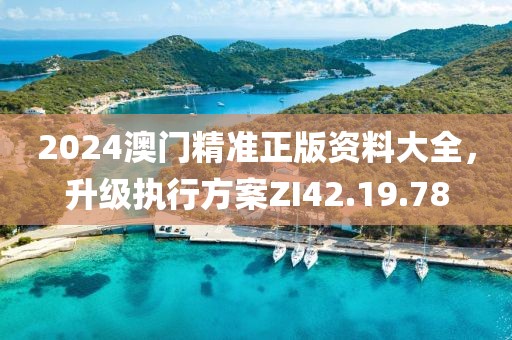 2024澳门精准正版资料大全，升级执行方案ZI42.19.78