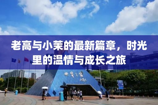 老高与小茉的最新篇章，时光里的温情与成长之旅