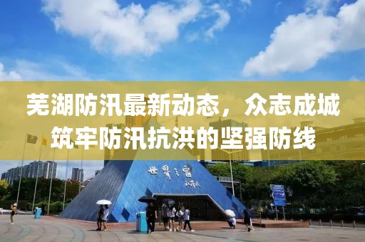 芜湖防汛最新动态，众志成城筑牢防汛抗洪的坚强防线