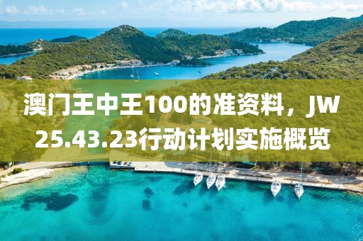 澳门王中王100的准资料，JW25.43.23行动计划实施概览