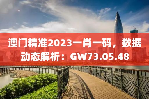 澳门精准2023一肖一码，数据动态解析：GW73.05.48