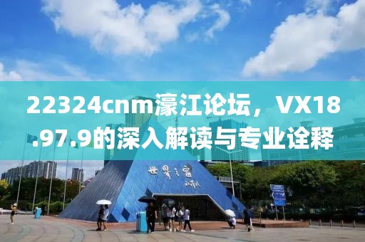 22324cnm濠江论坛，VX18.97.9的深入解读与专业诠释