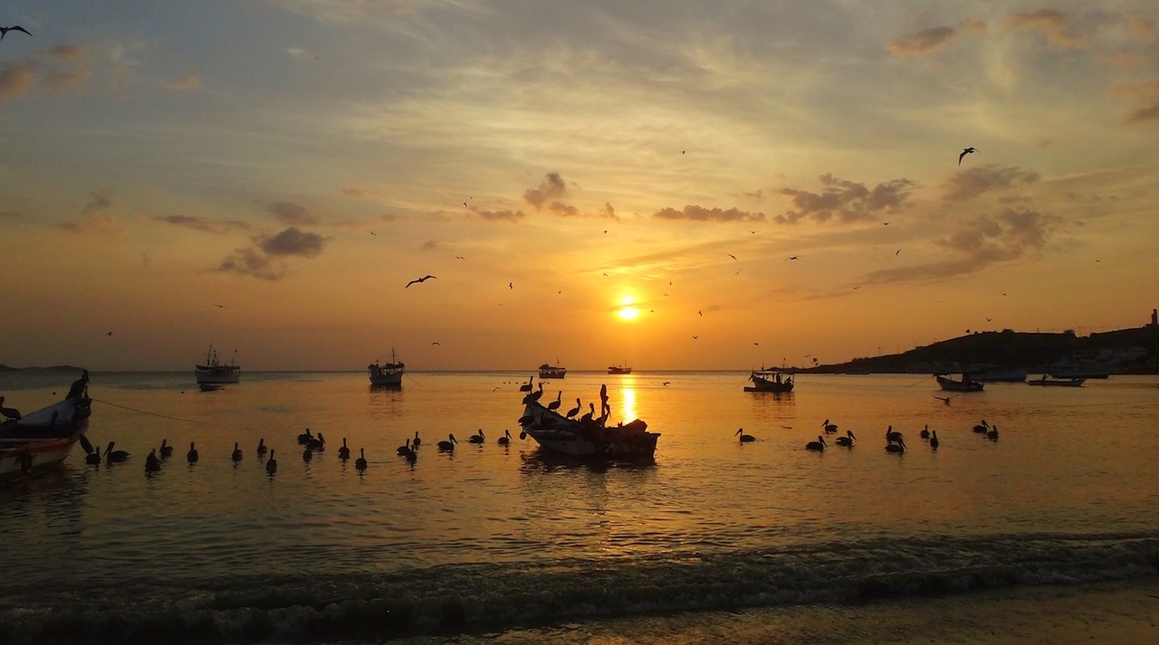 全球共同应对疫情新挑战,最新防疫地区动态更新