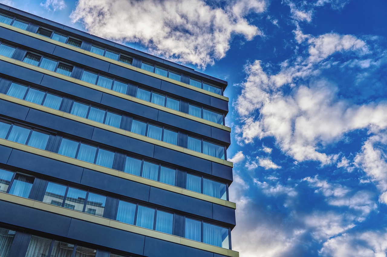 鹤洲最新规划,塑造未来城市新面貌,引领未来发展新篇章