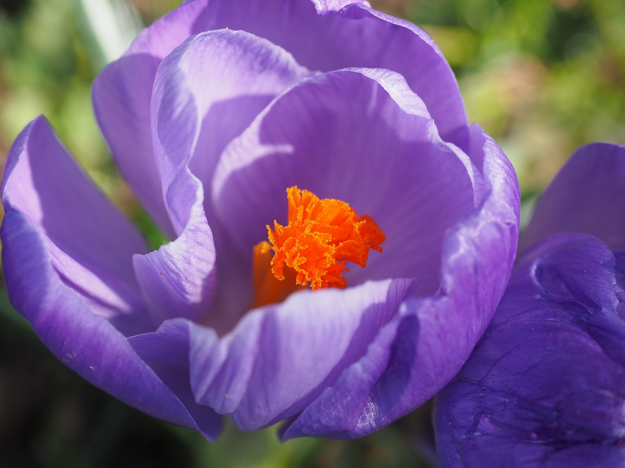 艺考新政最新动态,影响及最新发展