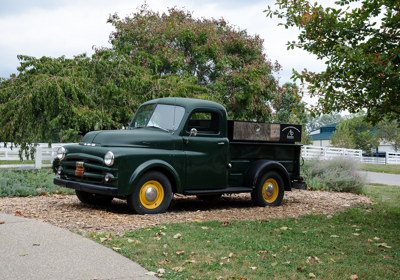 全球视角下的美国最新派兵动态,战略调整与地区影响分析