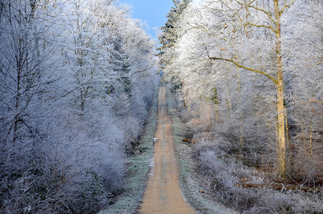 芳草冰视最新动态,探索前沿技术,展现视听新境界