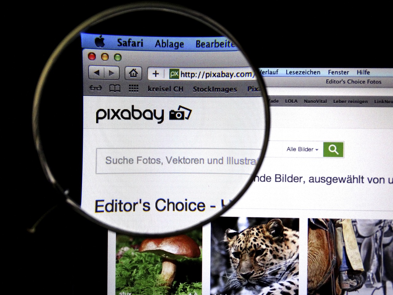 最新大香视频探索与赏析,深度体验与赏析之旅