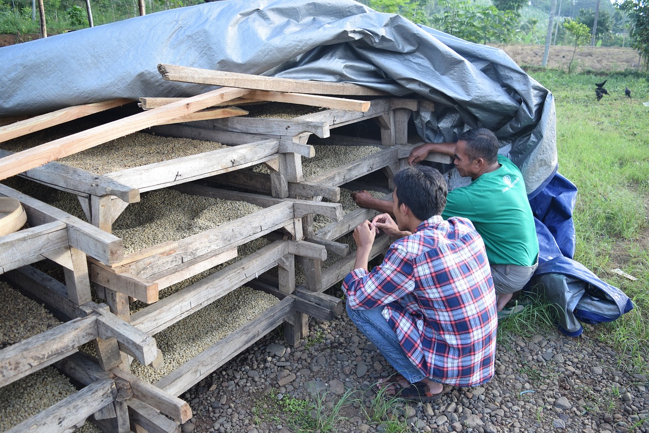 黎家明最新动态与成就概述