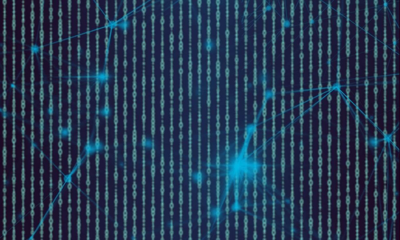 探索最新登录网址,揭秘神秘91门户