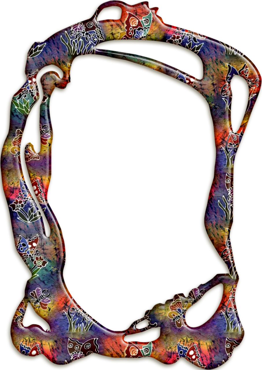 探索浪漫之花的独特魅力,风花恋最新动态报道