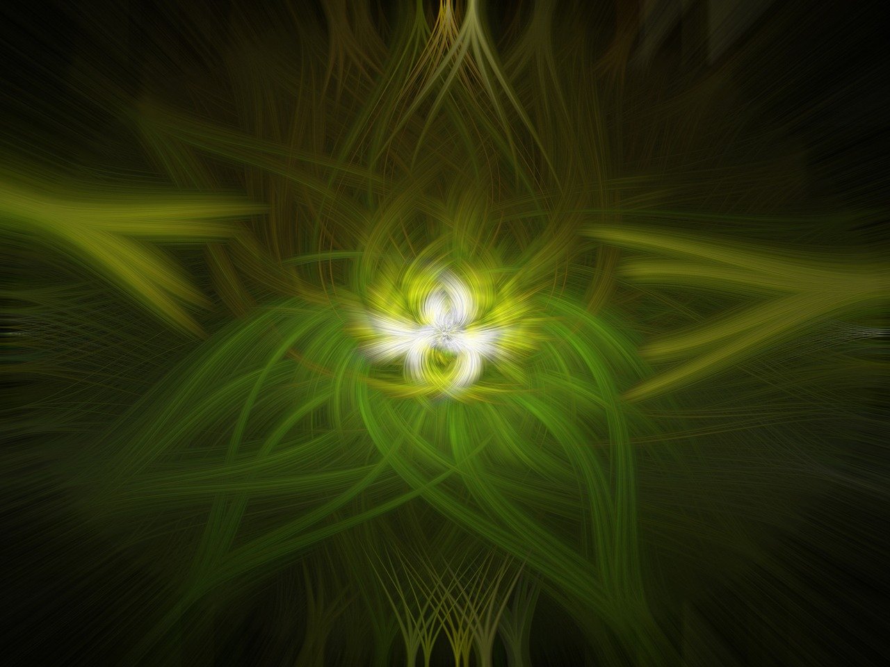 蔚符文最新动态,探索未知,引领未来