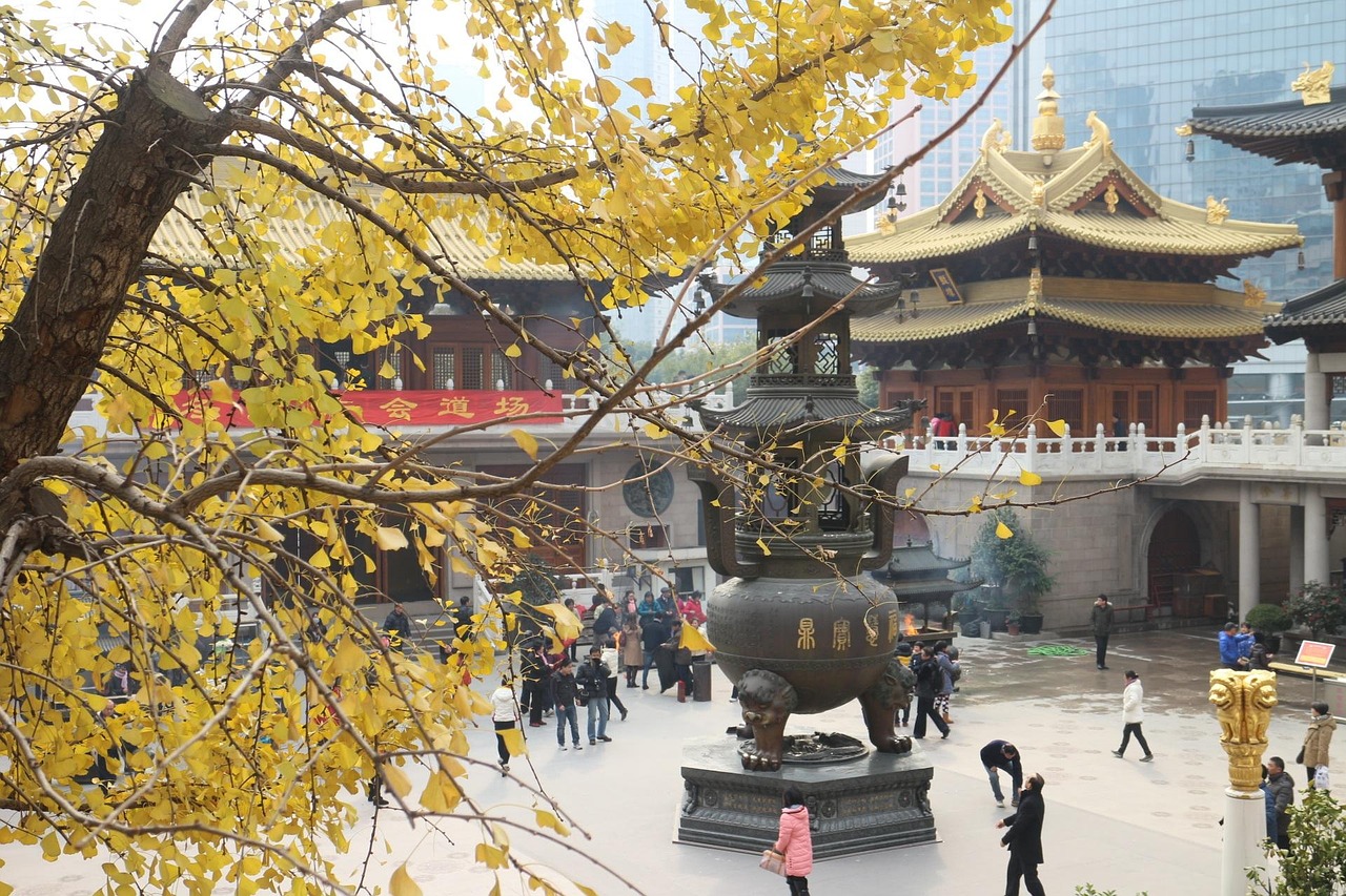 上海廖国,繁荣都市风貌与文化魅力的展现