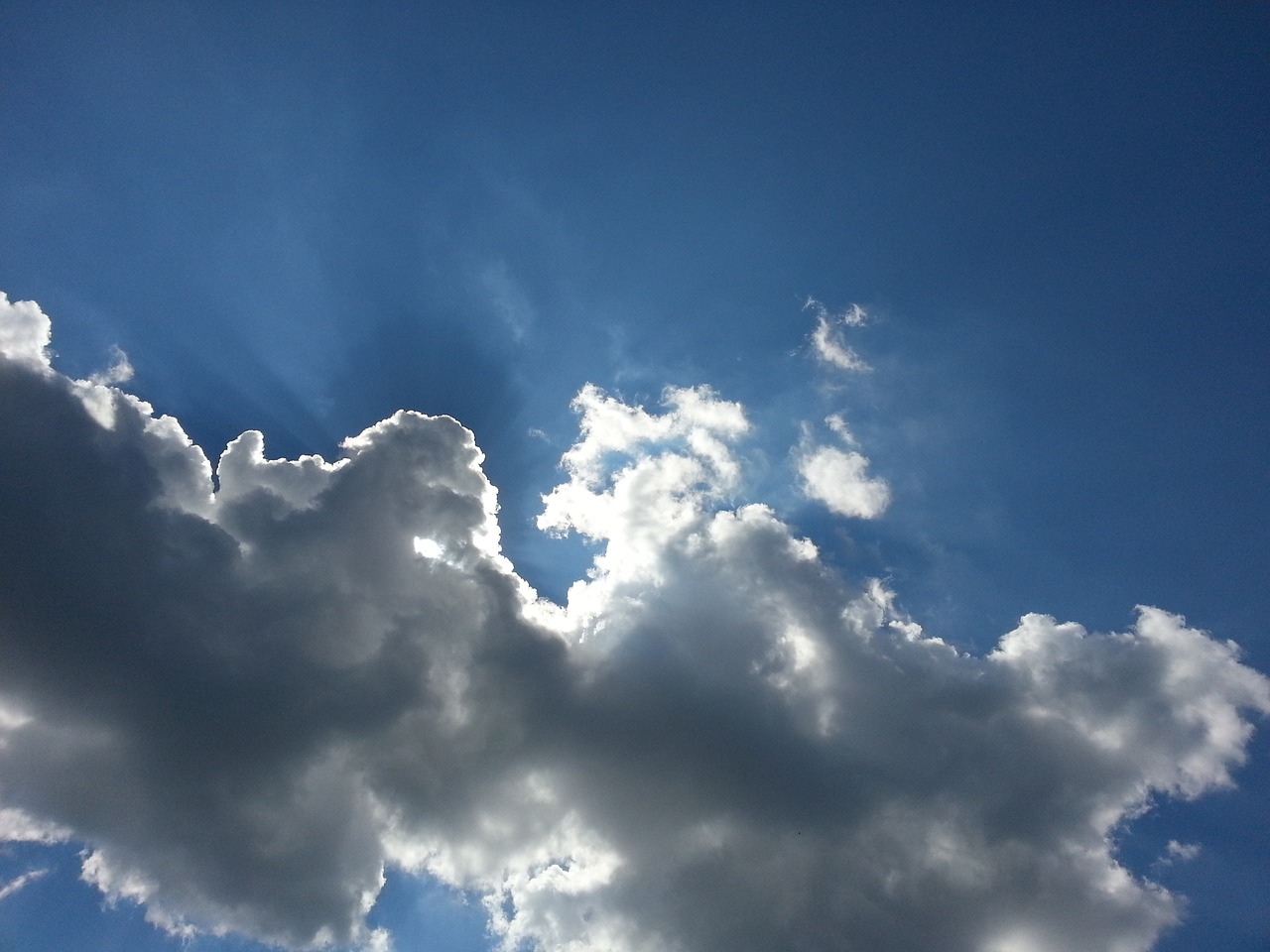 黑手党最新动态深度探究与解析