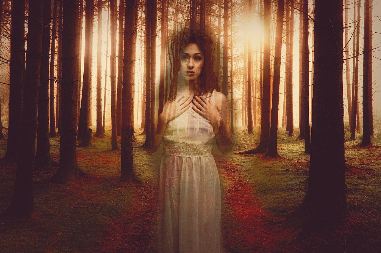 Blackpink最新专辑,音乐力量与时尚魅力的完美结合