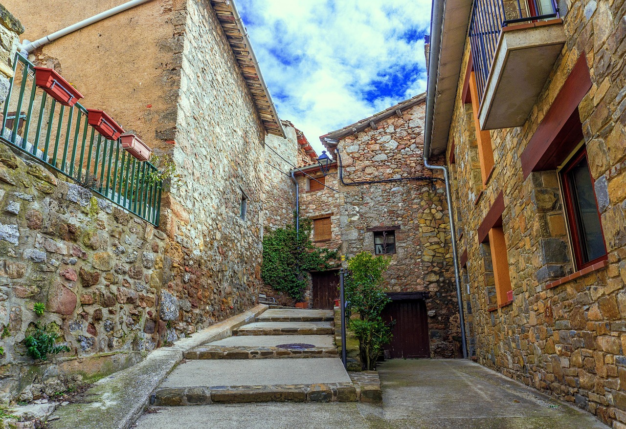 王强演员的最新动态与成长之路揭秘