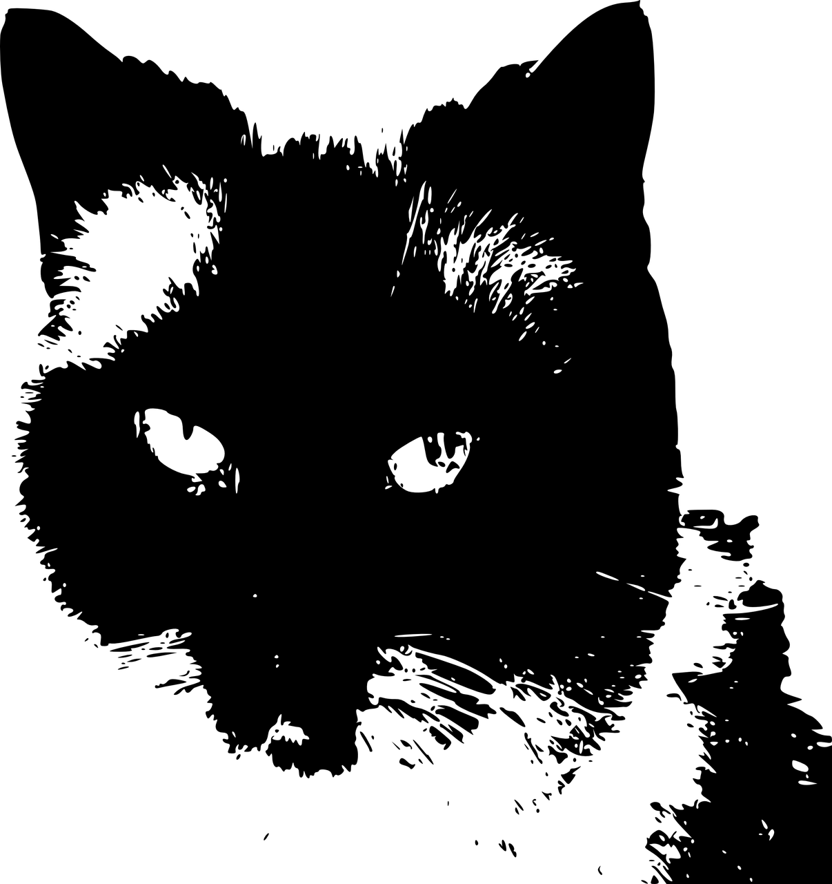 服务案例 第348页
