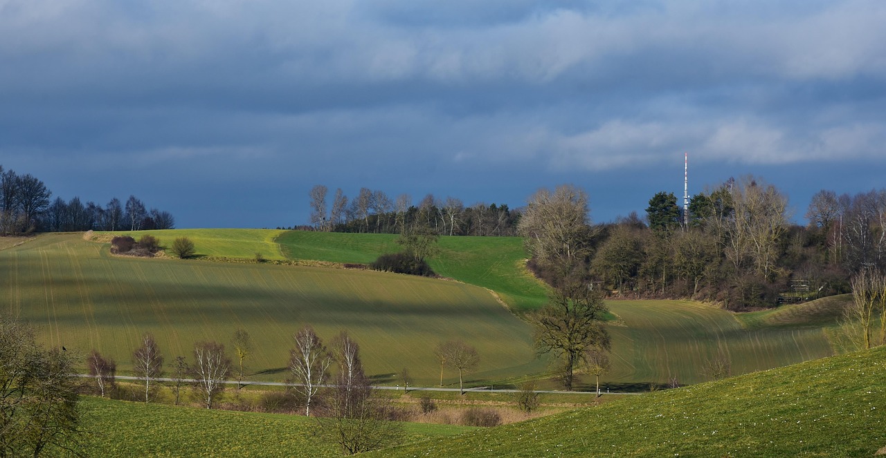 遂平最新土拍动态,市场走势、影响及前景展望