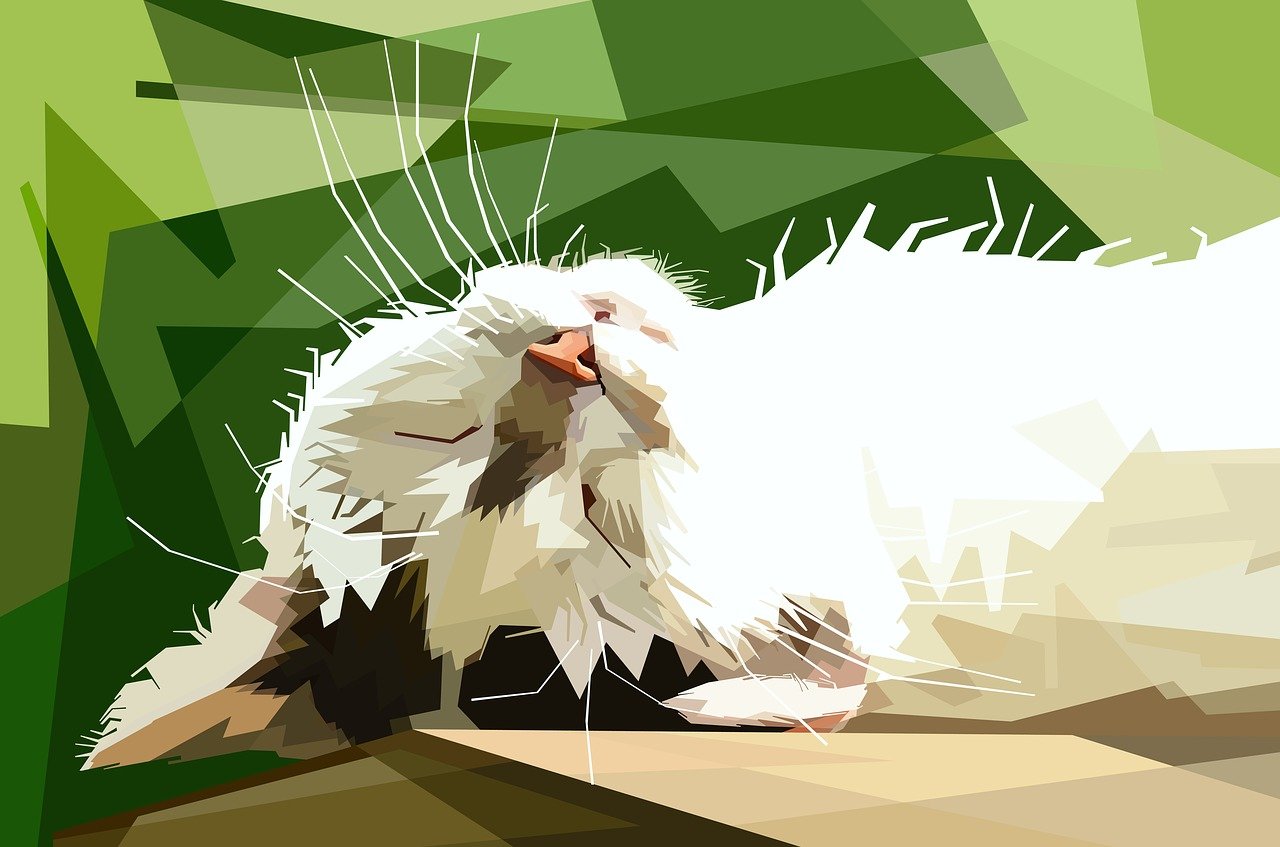 摩登大道引领时尚新潮流,最新公告披露时尚前沿动态