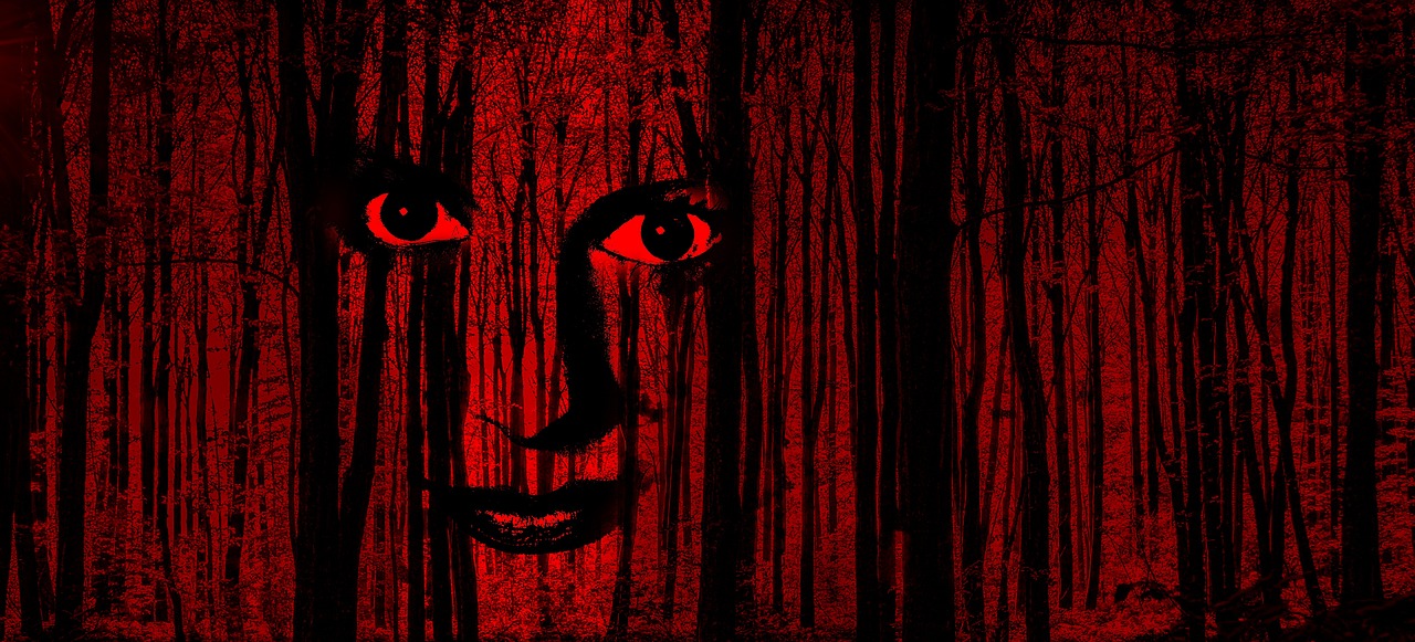 最新恐怖惊悚电影,探索未知的恐惧世界