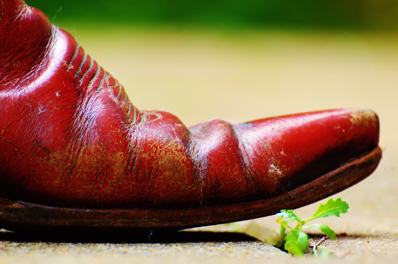 中国战机最新动态,新时代蓝天守护神持续升级