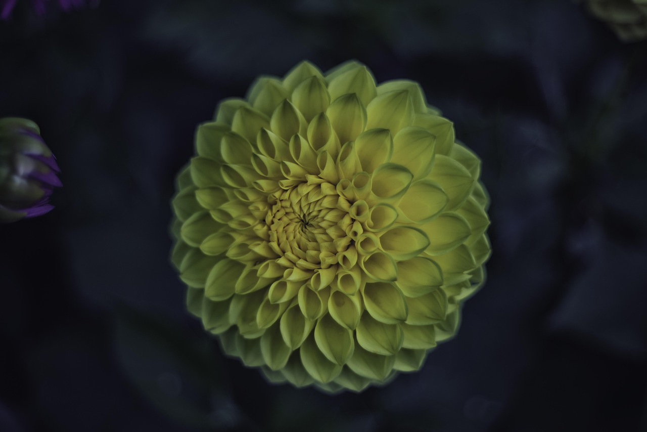 海融易最新动态及展望发展报告