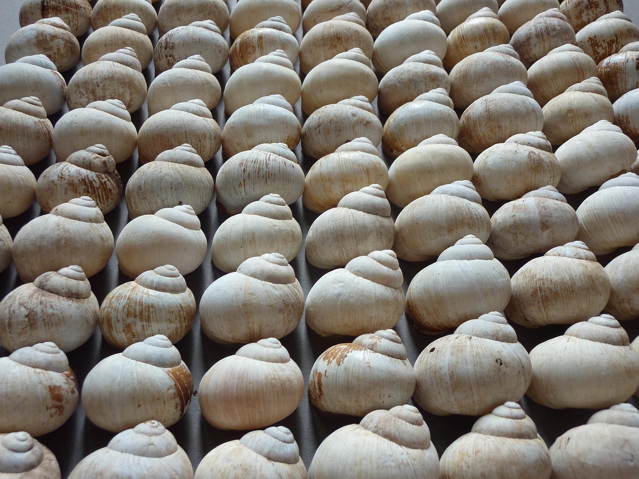 部队住房改革最新动态,迈向高质量生活保障的步伐