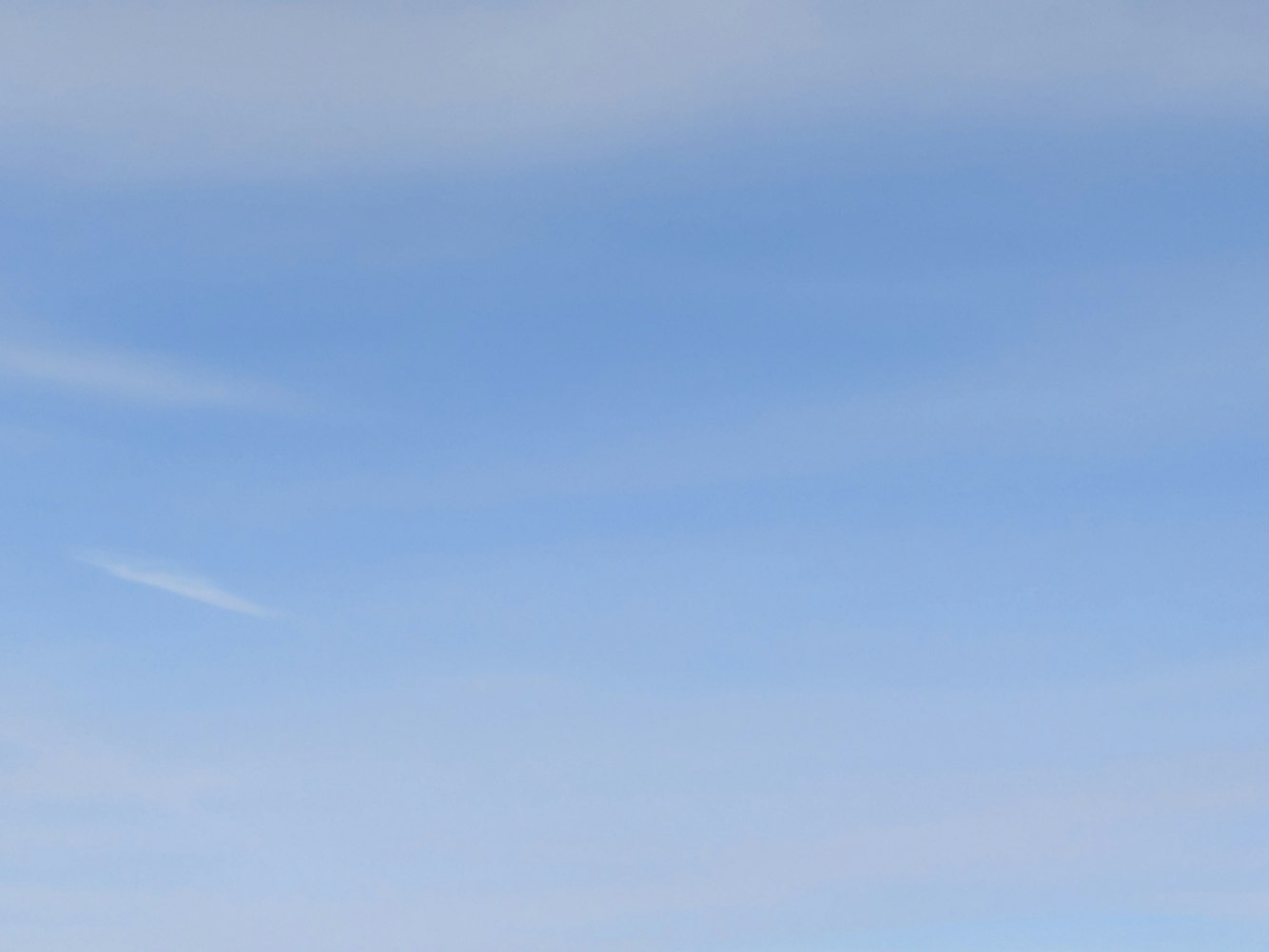 花开无言 第8页