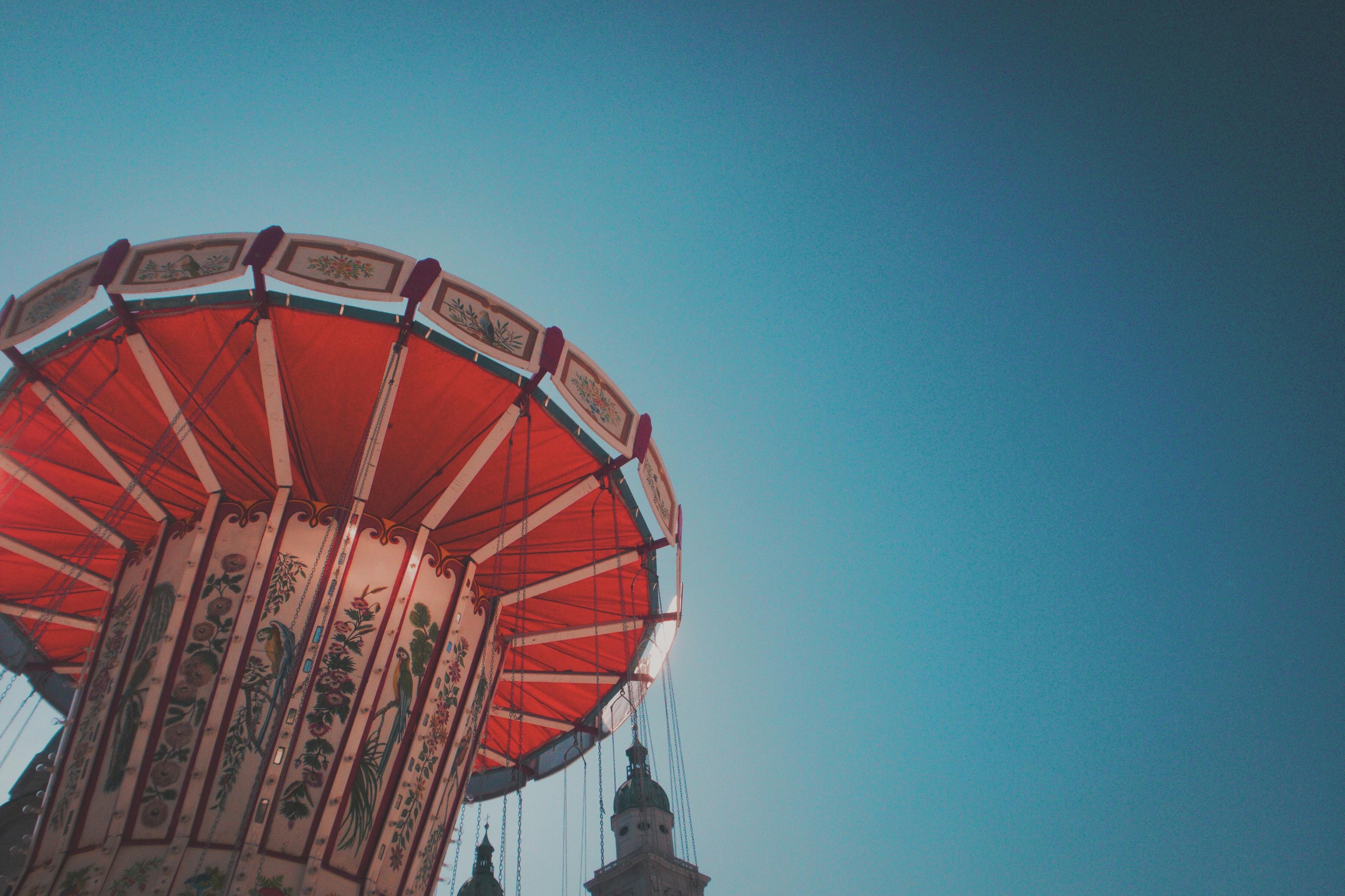 002447最新动态分析概览