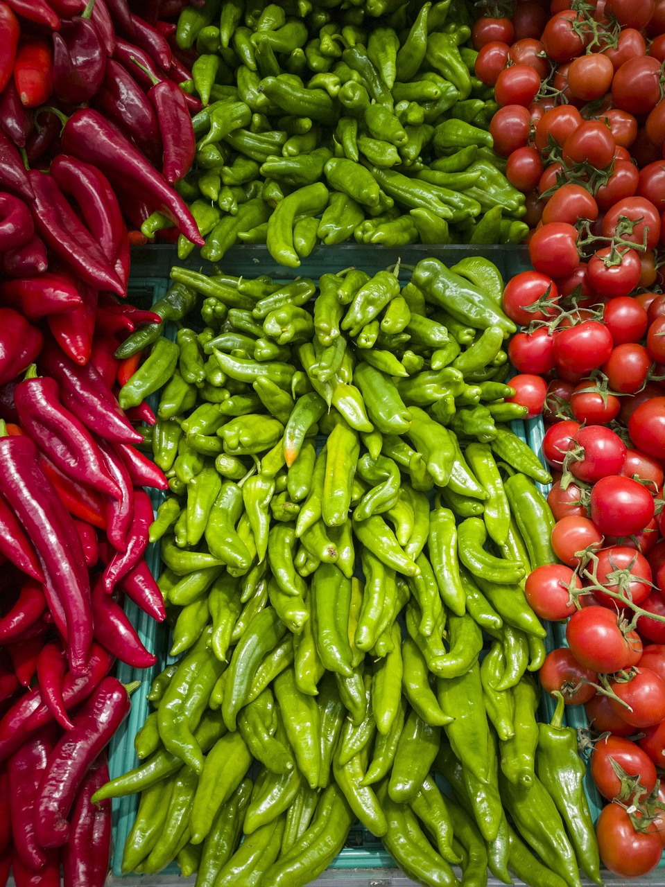 辣椒产业热辣世界探索资讯