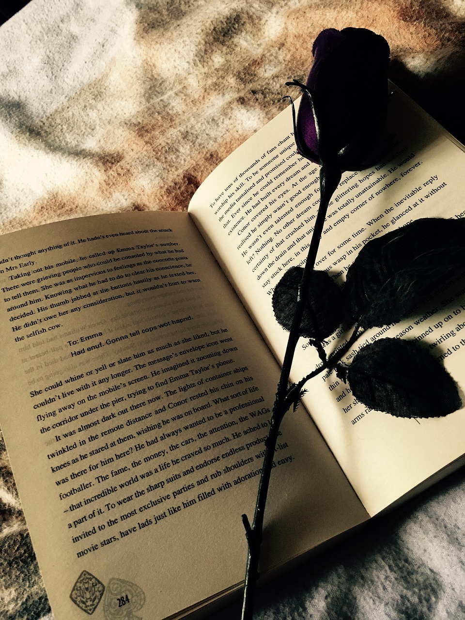 书简舞比赛一等奖背后的故事与启示,荣耀背后的努力与启示