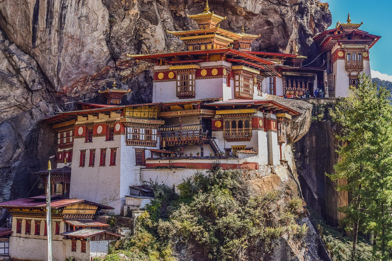 探索中国动漫文化的繁荣与发展之旅，动漫大陆的独特魅力