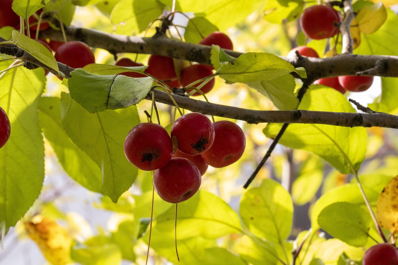 韦业宁最新动态，揭开新时代的序幕