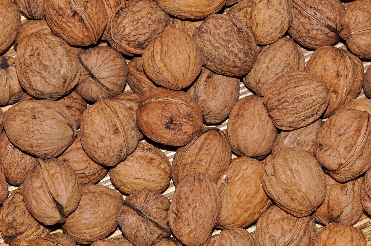 乾隆核桃,价格与图片详解指南