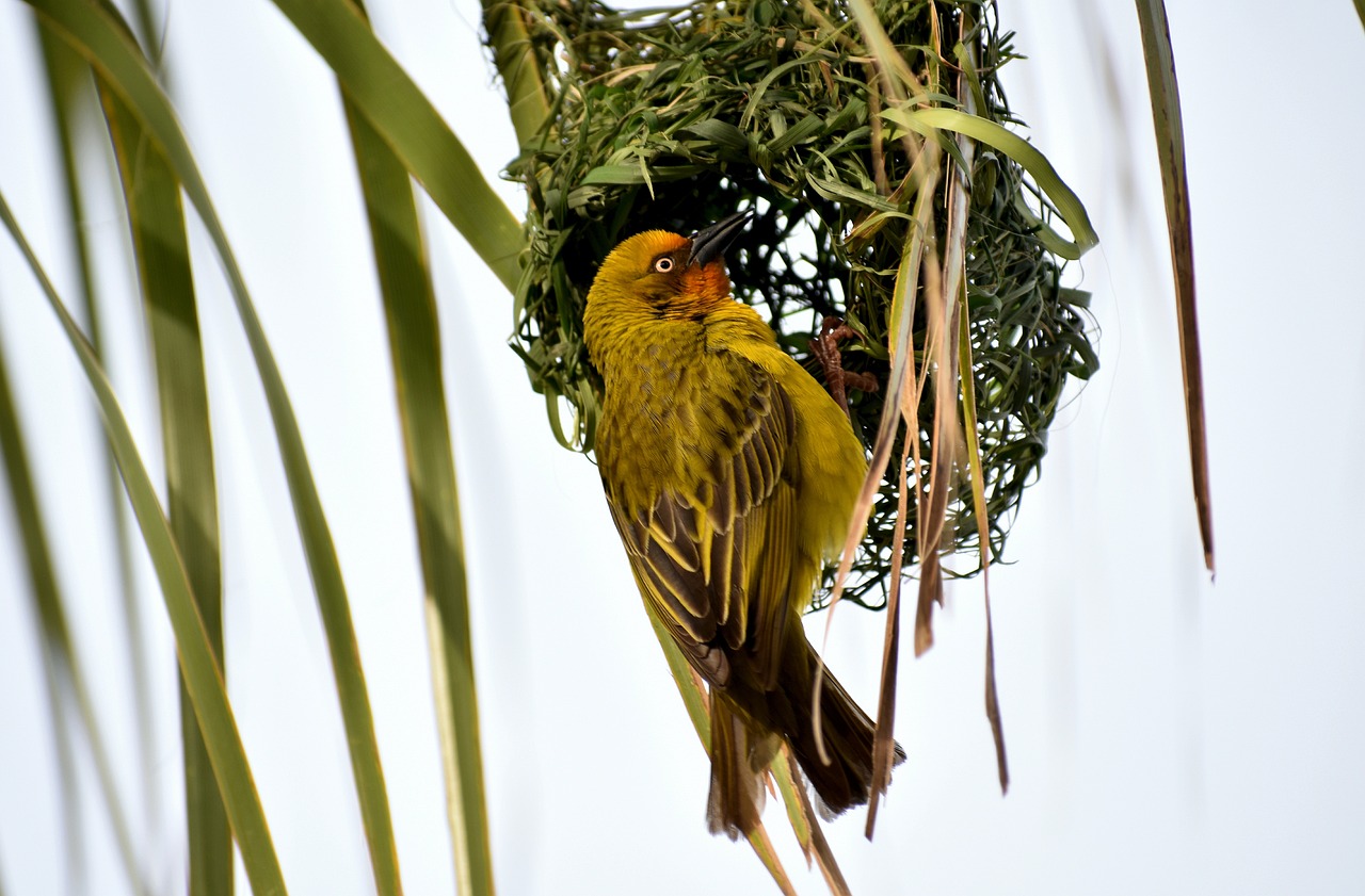 东莞最新城市规划设计动态更新今日揭晓