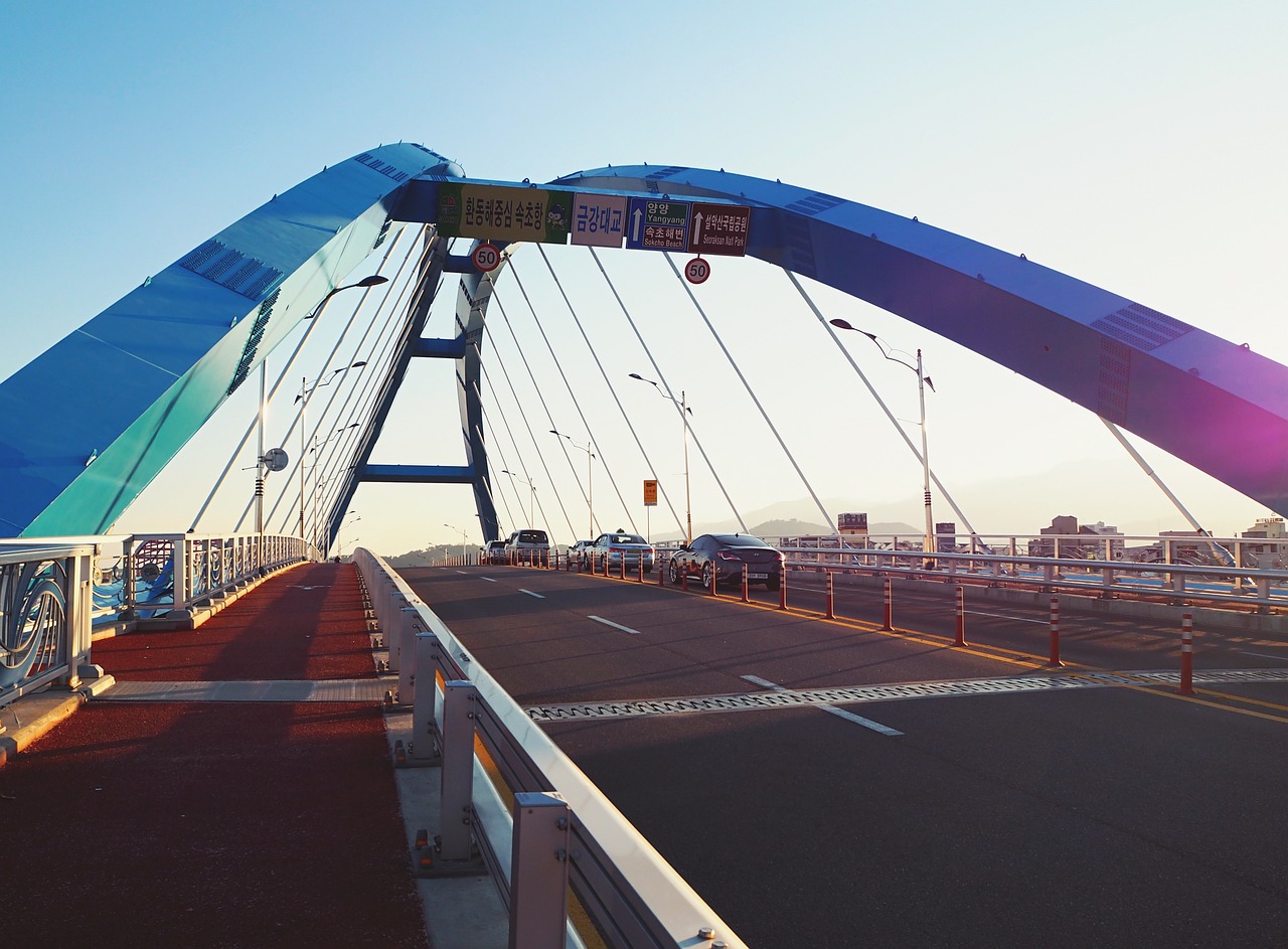 全球流感科研动态，最新进展与应对策略报告发布