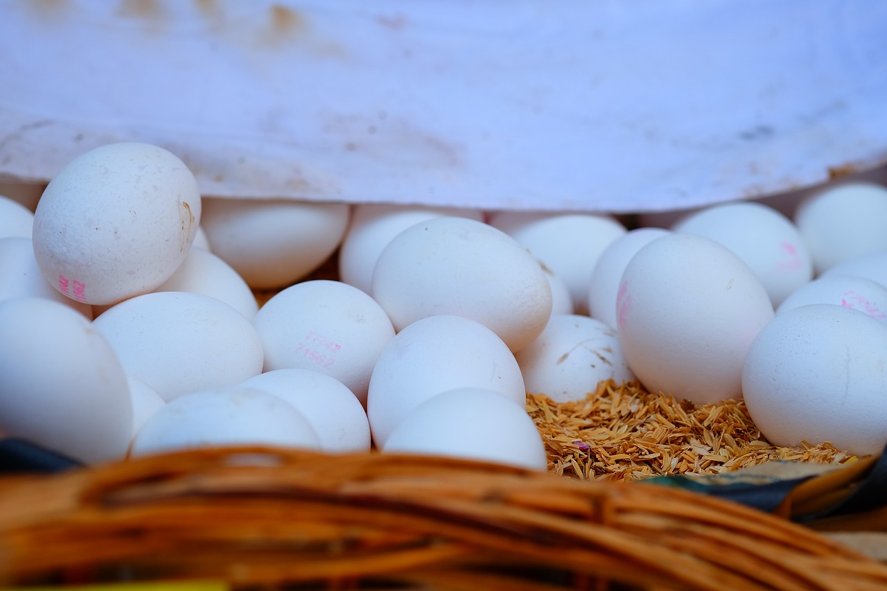 最新动态解析,4月国际原油价格的走势与前景展望