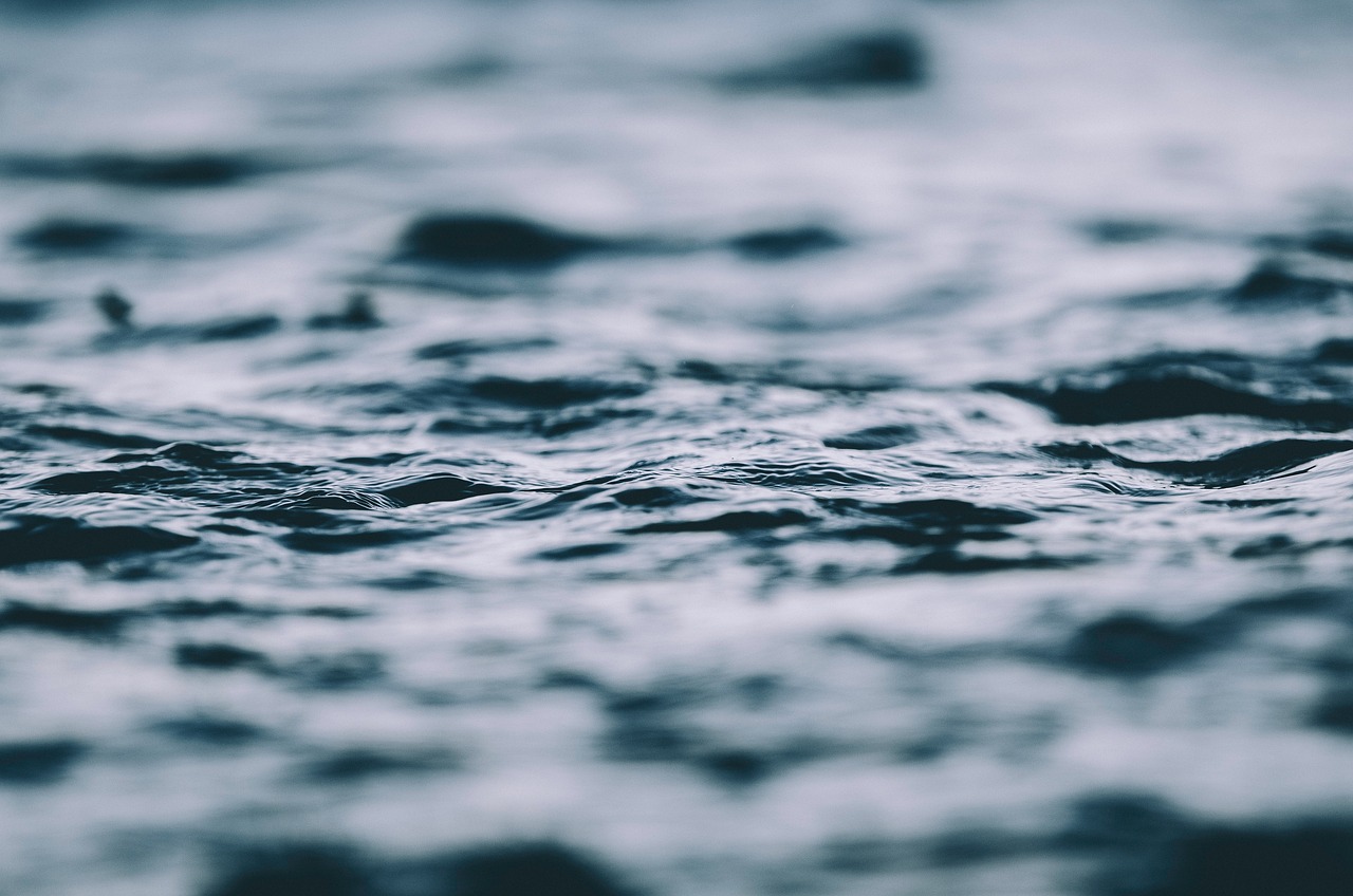 五月郑业成最新动态揭秘,揭开明星生活的神秘面纱