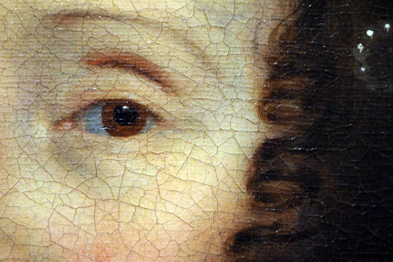 艺术与现实交织,五月穿裘皮的维纳斯电影探秘