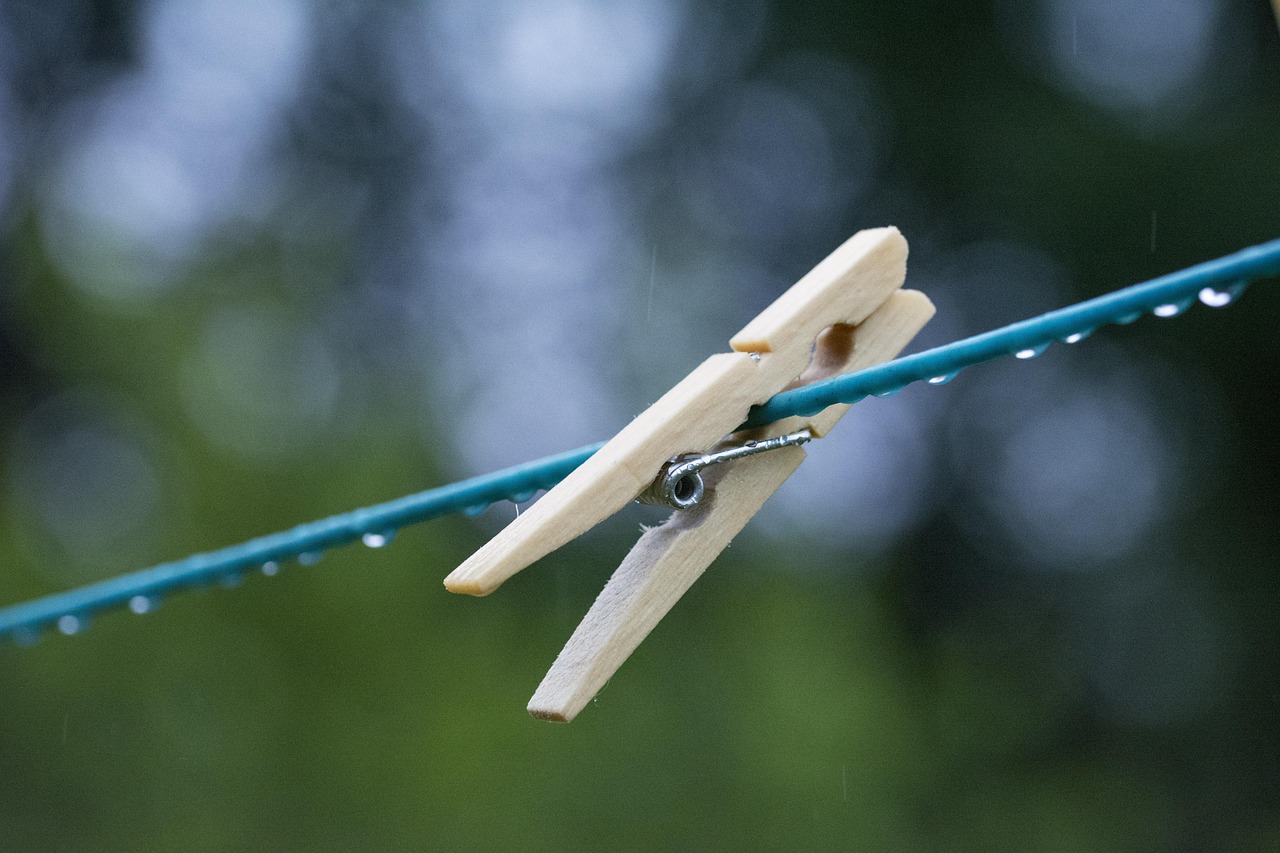 五月产假政策新动态,探索工作与家庭平衡的未来路径